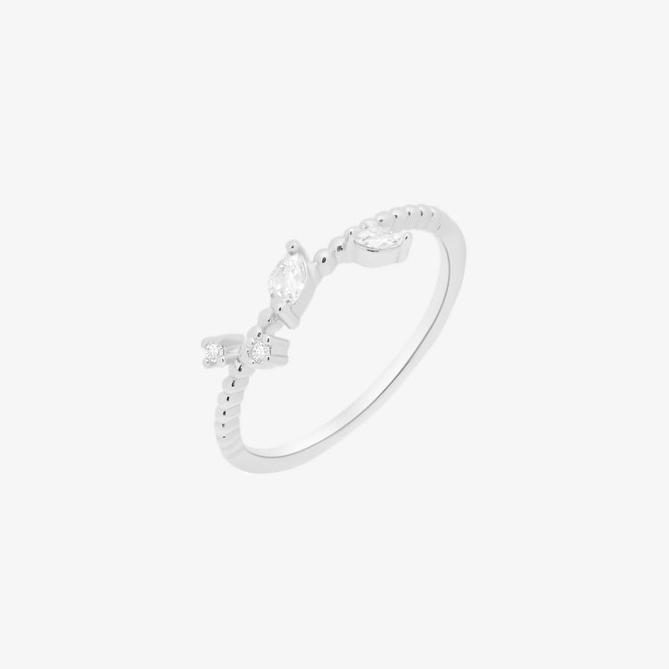 Simple Cubic branch ring-1