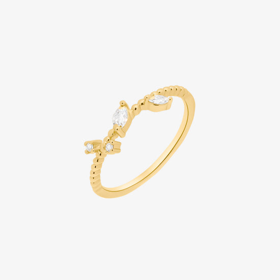 Simple Cubic branch ring-0