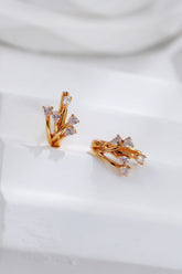 Elegant Design Zircon Earrings-1