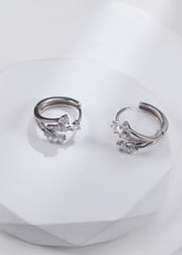 Elegant Design Zircon Earrings-5