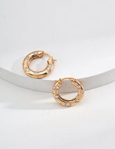 Round Zirconia Design Earrings-1
