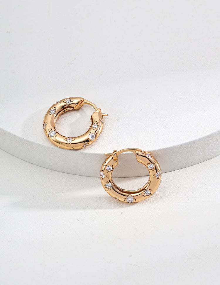 Round Zirconia Design Earrings-1